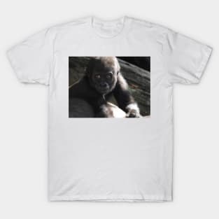 Baby Gorilla T-Shirt